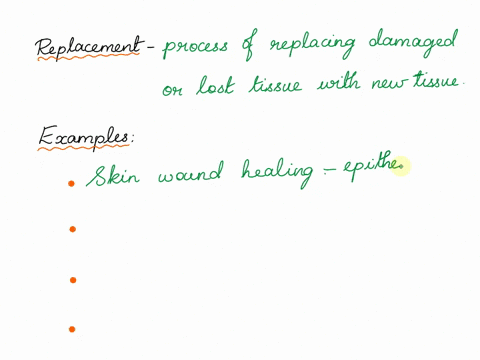 what-is-the-definition-of-replacement-in-anatomy-and-what-are-some-examples-of-it-when-it-comes-to-tissue-healing-84415