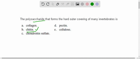 the-polysaccharide-that-forms-the-hard-outer-covering-of-many-invertebrates-is-a-collagen-d-pectin-b-42367