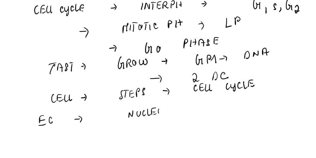 SOLVED: What is the correct order of phases in the cell cycle? G1, S ...
