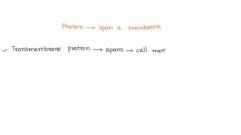 question-30-proteins-that-span-a-membrane-check-all-answers-that-apply-are-typically-amphipathic-are-peripheral-membrane-proteins-have-a-transmembrane-domain-that-is-made-of-mostly-nonpolar-12699