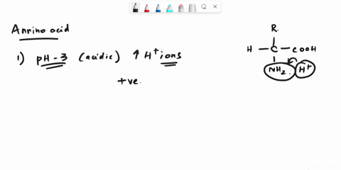 an-amino-acid-place-in-ph-3-will-become-positively-charged-negatively-charged-neutral-13932-an-amino-acid-placed-in-a-ph-of-11-will-become-neutral-positively-charged-negatively-charged-03-an-50819