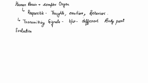 how-has-the-human-brain-changed-in-size-and-shape-over-millions-of-years-of-evolution-explore-the-development-of-the-human-nervous-system-please-i-really-appreciate-the-answer-on-your-own-wo-28276