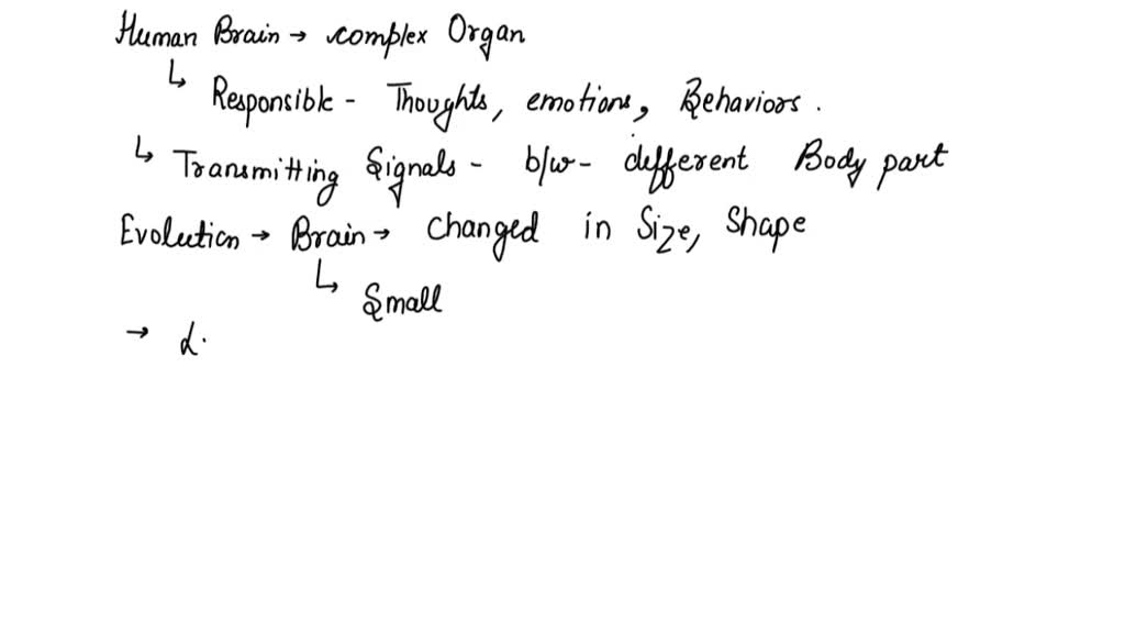 Evolutions Greatest Leap The 3X Brain Size Increase That Changed Everything - mpiyvrg