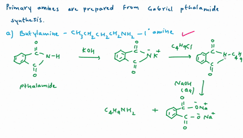 which-of-the-following-amines-can-be-prepared-by-the-gabriel-synthesis-which-ones-cannot-write-equat-06316