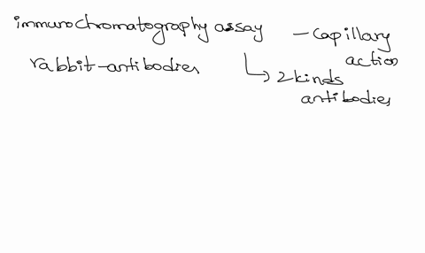 whatis-the-function-of-rabbit-antibodiesin-a-basic-immunochromatography-choose-one-assay-a_-the-rabbit-antibodies-bind-to-antigen-from-a-patient-b-the-rabbit-antibodies-prevent-false-positiv-81157