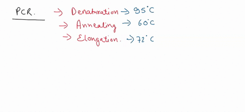 1how-can-pcr-be-applied-to-the-detection-of-human-immunodeficiency-and-other-rna-viruses-athe-virus-must-be-inserted-into-human-dna-by-viral-integrase-prior-to-pcr-bsubstitute-deoxyuridine-t-45378