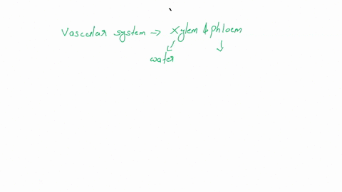 critical-thinking-question-be-able-to-explain-why-a-moss-plant-cannot-grow-large-how-does-the-lack-of-a-vascular-system-limit-the-size-in-which-the-plant-can-grow-replace-this-text-with-your-76023
