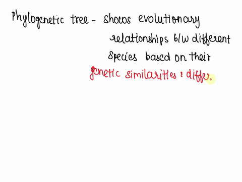based-on-the-molecular-data-which-species-is-most-closely-related-to-humans-45282