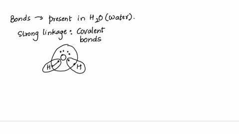 what-type-of-bonds-attracts-water-molecules-to-each-other-and-to-other-substances-covalent-bonds-double-bonds-hydrogen-bonds-ionic-bonds-65473