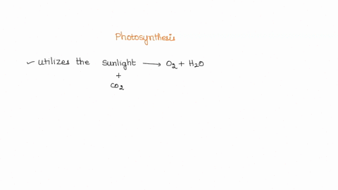 short-answer-summarize-the-phases-of-photosynthesis-and-describe-where-each-phase-occurs-in-the-chlo-83535