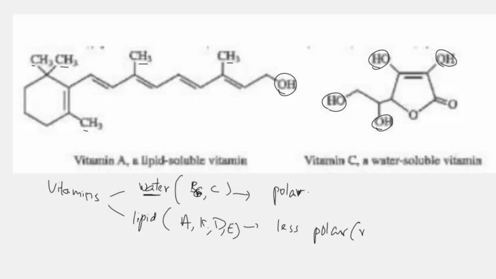 Questions, 1. What is the structural difference between water soluble and  fat soluble vitamins?, 2. Why are humans able to consume a large excess of  water soluble vitamins each day, but the daily 