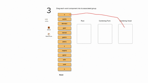 drag-each-word-component-into-its-associated-group-drag-each-word-component-into-its-associated-group-3-303-oints-cardilo-root-combining-form-combining-vowel-dermatlo-gastr-ebook-dermat-refe-61481