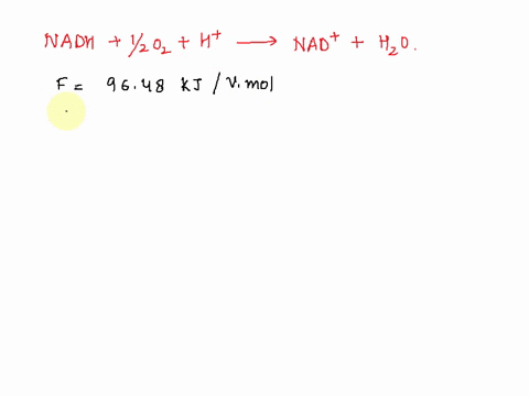 during-transfer-of-two-electrons-through-the-mitochondrial-respiratory-chain-the-overall-reaction-is-nadh-12-oz-h-nad-ho-for-this-reaction-the-difference-in-reduction-potentials-for-the-lwo-54503