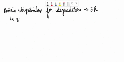 which-of-the-following-reactions-does-not-happen-in-the-lumen-of-the-er-n-glycosylation-cleavage-of-n-terminal-signal-sequence-formation-of-disulfide-bonds-protein-ubiquitination-for-degrada-77247