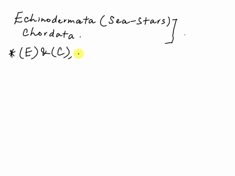 in-addition-to-similarities-in-their-molecular-dna-the-phyla-echinodermata-including-sea-stars-and-chordates-including-the-vertebrates-share-which-of-these-characteristics-a-an-endoskeleton-75842