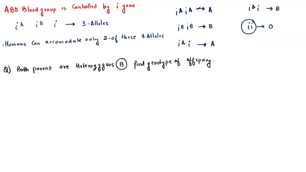 solved-if-one-parent-has-ab-and-one-parent-has-o-blood-types-what-are