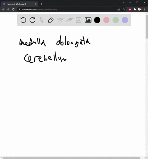 1-which-parts-of-the-brain-work-together-to-achieve-the-following-agood-hand-eye-coordination-bconcentrating-on-homework-when-tv-is-playing-cavoiding-dark-alleys-while-walking-home-at-night-87928