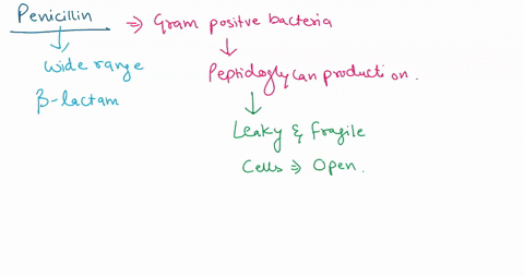 penicillin-was-the-first-antibiotic-used-by-doctors-and-is-still-one-of-the-most-widely-used-antibiotics-mechanism-of-action-penicillins-inhibit-bacterial-growth-by-binding-to-the-sos-subuni-18155