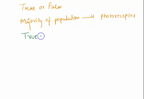 a-majority-of-the-population-has-4-types-of-photoreceptors-group-of-answer-choices-true-false-20186