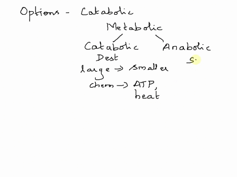 a-catabolic-reaction-would-produce-a-protein-from-amino-acids-b-ketones-from-fatty-acids-c-triglycerides-from-glycerol-and-fatty-acids-d-glycogen-from-glucose-07247