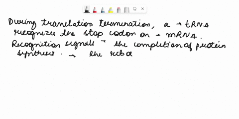 which-ol-the-following-events-occur-during-eukaryolic-translation-termination-protein-recognizes-the-stop-codon-and-the-ribosome-dissociates-from-the-mrna-trna-binds-codon-and-the-ribosome-a-39738