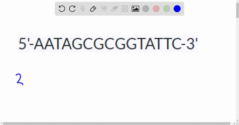 if-a-strand-of-dna-of-sequence-5-aatagcgcggtattc-3-is-replicated-which-of-the-following-accurately-represents-the-newly-synthesized-dna-strand-76537