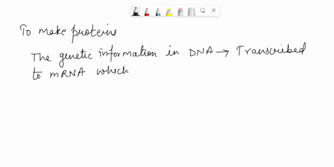 how-does-dna-transfer-its-information-to-make-a-protein-if-the-dna-molecule-cant-be-used-because-its-stuck-in-the-nucleus-a-messenger-rna-mrna-is-the-name-of-the-type-of-rna-molecules-that-i-70878