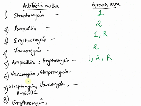you-have-two-escherichia-coli-cells-e-coli-1-has-streptomycin-resistance-on-the-chromosome-and-a-plasmid-with-the-f-factor-as-well-as-erythromycin-resistance-e-coli-2-hasampicillin-and-tetra-02734