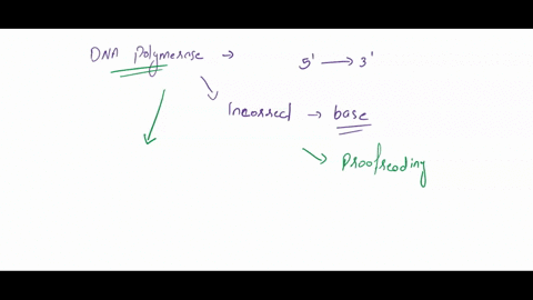 if-a-dna-polymerase-is-replicating-dna-in-prokaryotes-and-inserts-an-incorrect-base-what-function-will-the-polymerase-perform-to-remove-the-incorrect-basea-5-to-3-exonuclease-activity-b-3-to-18009