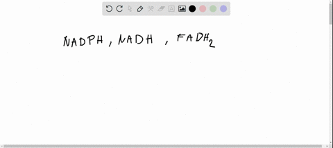 what-is-the-function-of-nadph-nadh-and-fadh2-in-photosynthesis-and-respiration-group-of-answer-choices-they-transport-high-energy-electrons-to-an-electron-transport-chain-they-oxidize-variou-86434