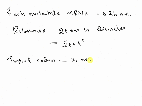 assuming-that-each-nucleotide-in-an-mrna-is-034-mathrmnm-long-how-many-triplet-codes-can-simultaneou-49741