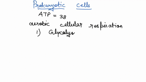 15-three-major-pathways-are-used-by-cells-to-gain-atp-energy-these-pathways-share-some-characteristics-but-also-have-numerous-differences-fill-in-the-table-to-help-sort-out-the-steps-of-thes-59265