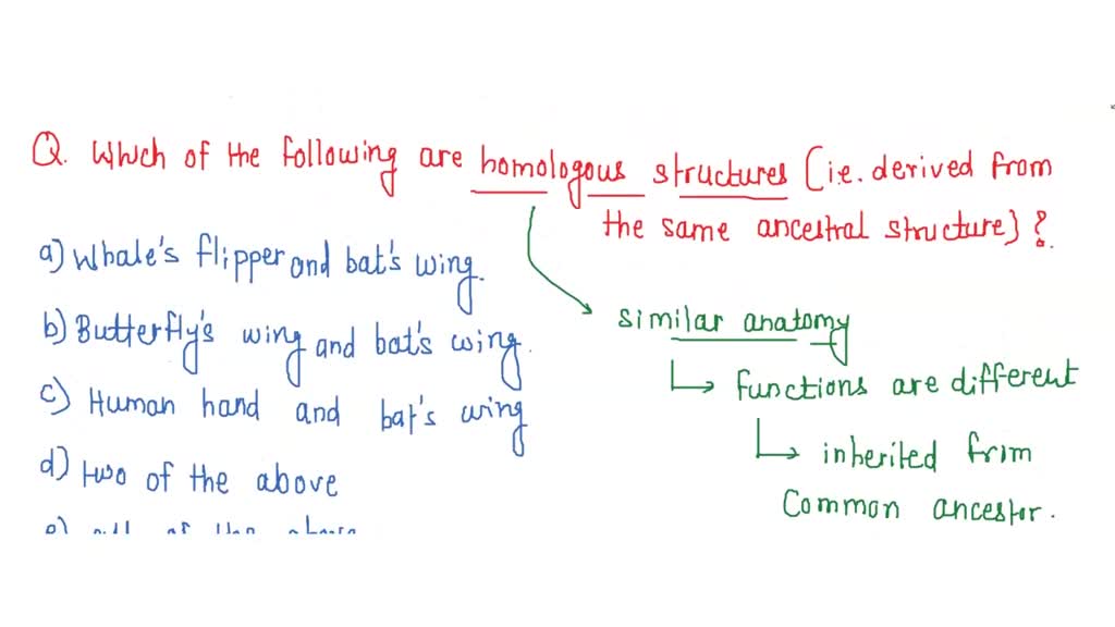 SOLVED: Which of the following are homologous structures (i.e derived ...