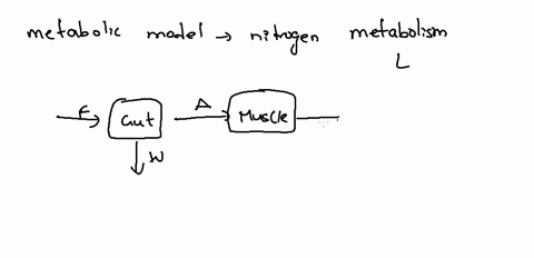 question-3-consider-a-simplified-metabolic-model-to-describe-nitrogen-metabolism-in-the-body-nitrogen-is-ingested-in-the-food-f-a-fraction-of-which-is-actually-absorbed-a-the-remainder-being-62673