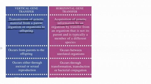 horizontal-vertical-gene-transfer-what-is-the-difference-between-horizontal-gene-transfer-and-vertical-gene-transfer-you-must-define-both-in-order-t0-describe-the-difference-what-are-the-thr-46184