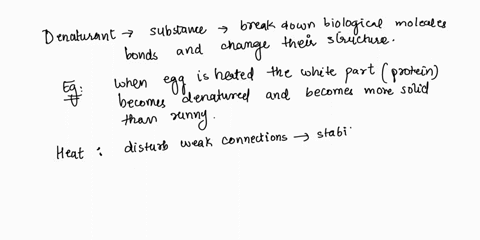 identify-the-lype-of-bond-that-disrupied-for-cach-denaturant-each-jcni-alfect-multiple-types-o-dotids-heat-nswer-bank-acid-and-bases-hajiren-brl-jellaticn-75dmontibic-irierichont-oreanic-cam-34823