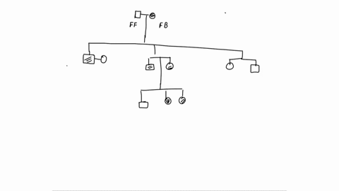 using-d-to-represent-the-dominant-allele-and-d-to-represent-the-recessive-allele-assign-genotypes-to-all-members-of-the-pedigree-if-a-complete-genotype-showing-both-alleles-cannot-be-given-p-94956