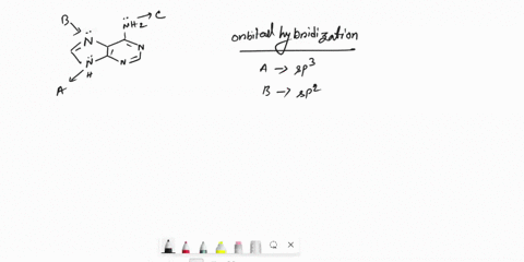 the-heterocyclic-hase-adenine-is-found-naturally-in-various-nucleosides-and-nucleotides-such-as-dna-and-rna-the-structure-of-adenine-in-base-shown-below-please-answer-the-following-conceming-70523