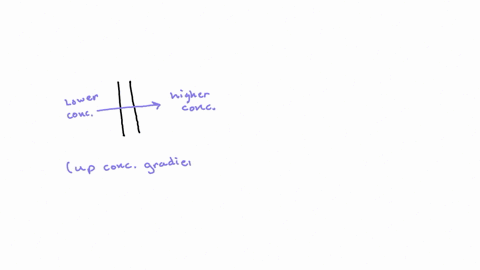 osmetic-question-2-a-type-of-transport-of-a-solute-across-a-membrane-up-its-concentration-gradient-using-protein-carriers-driven-by-the-expenditure-of-chemical-energy-is-known-as-exocytosis-active-tra