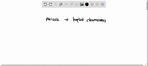 which-of-the-following-occurs-in-meiosis-but-not-in-mitosis-alignment-of-chromosomes-at-the-equator-chromosome-replication-synapsis-of-chromosomes-production-of-daughter-cells-condensation-o-18587
