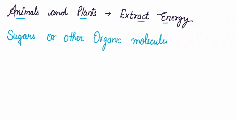 animals-and-plants-use-oxidation-to-extract-energy-from-food-molecules-78665