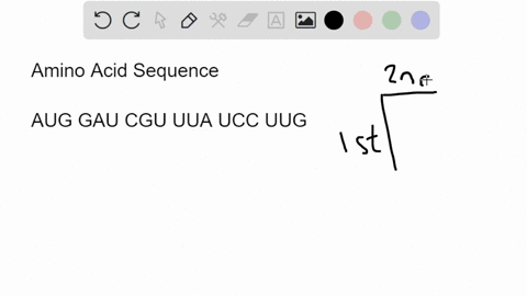 ch17-codon-chart-what-amino-acid-sequence-will-be-generated-from-the-following-mrna-sequence-auggaucguuuauccuug-3-uuu-phe-ucu-set-uuc-phe-ucc-sel-uua-leu-uca-sel-uug-jeu-ucg-sel-cuu-leu-ccu-80717