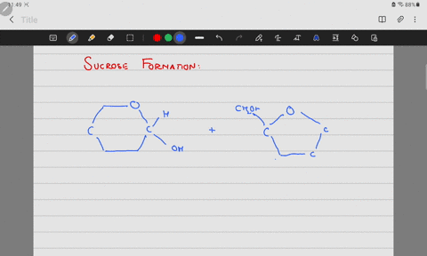 on-the-molecules-below-circle-where-the-oh-and-the-h-will-come-off-to-form-water-via-dehydration-synthesis-h_c_oh-hc-0-h-c-oh-ho-dehydration-synthesis-removes-the_-from-one-structure-and-the-76678