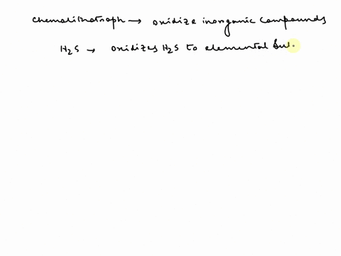 what-is-chemolithotroph-how-does-lithotroph-get-energy-explain-how-the-electron-transport-chain-the-lithotrophs-works-describe-specifically-how-it-is-used-to-extract-energy-and-reducing-powe-31606