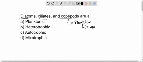 diatoms-ciliates-and-copepods-are-all-a-planktonic-b-heterotrophic-c-autotrophic-d-mixotrophic-88484