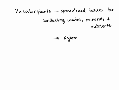 what-are-vascular-plants-how-are-they-classified-20319