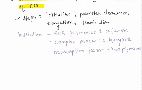 describe-the-steps-of-transcription-and-translation-in-simple-way-could-you-type-it-include-the-following-terms-in-a-description-of-transcription-mrna-rna-polymerase-the-promoter-initiation-07216
