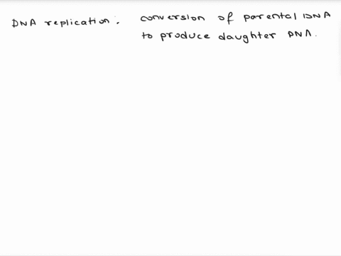 is-the-structure-of-dna-important-for-the-process-of-dna-replication-55712