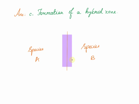 species-a-and-species-both-closely-related-to-one-another-have-distinct-habitats-that-have-interbreeding-however-some-individuals-from-species-and-species-occasionally-produve-hebr-id-of-hyb-27235