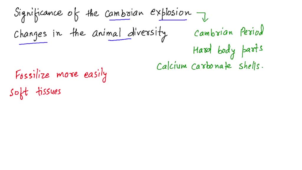 SOLVED: 1) Explain the significance of the Cambrian Explosion for animal evolution and the changes in animal diversity that took place during that time. 2) Describe some of the unresolved questions surrounding SOLVED: 1) Explain the significance of the Cambrian Explosion for animal evolution and the changes in animal diversity that took place during that time. 2) Describe some of the unresolved questions surrounding